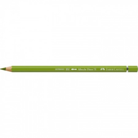 Albrecht Dürer watercolour pencil green earth yellowish